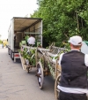 Hessentag 20140271 von 0295