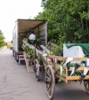 Hessentag 20140274 von 0295